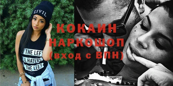 прущие грибы Абинск