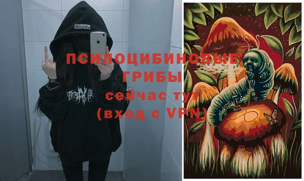 соль ск Алзамай