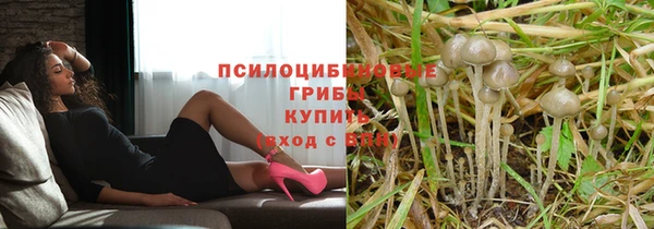 синтетический гашиш Алексин