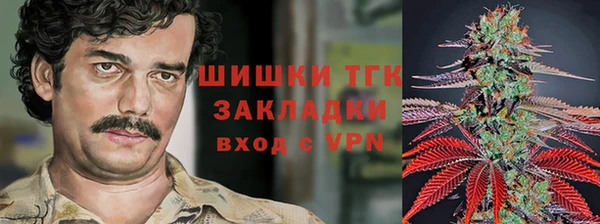 прущие грибы Абинск