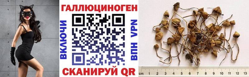 Псилоцибиновые грибы ЛСД  Канск 